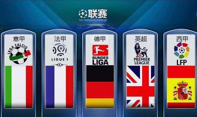 国内排球界
